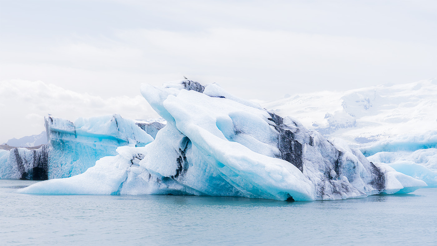 Iceberg con aves, Islandia