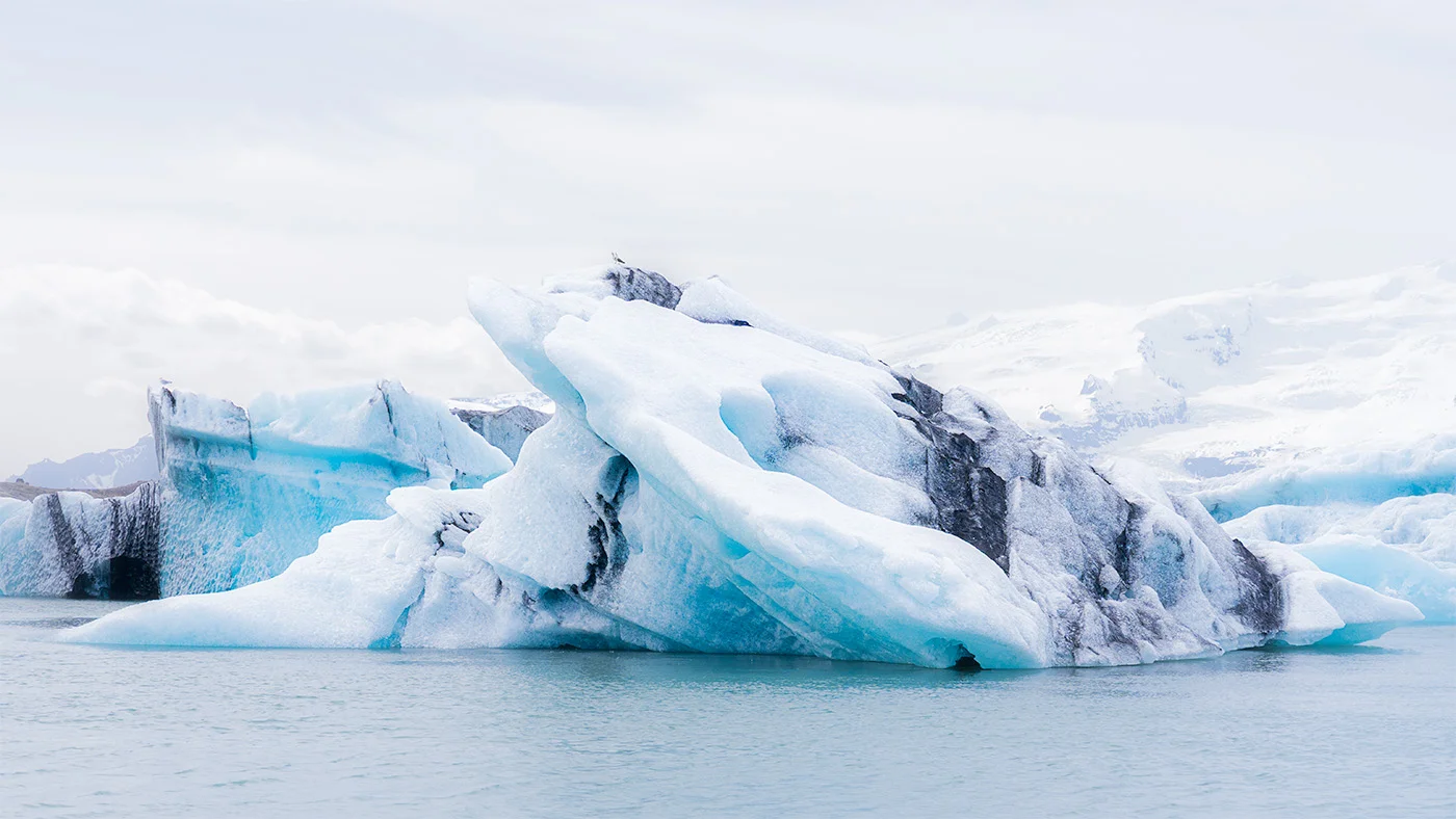 Iceberg con aves, Islandia