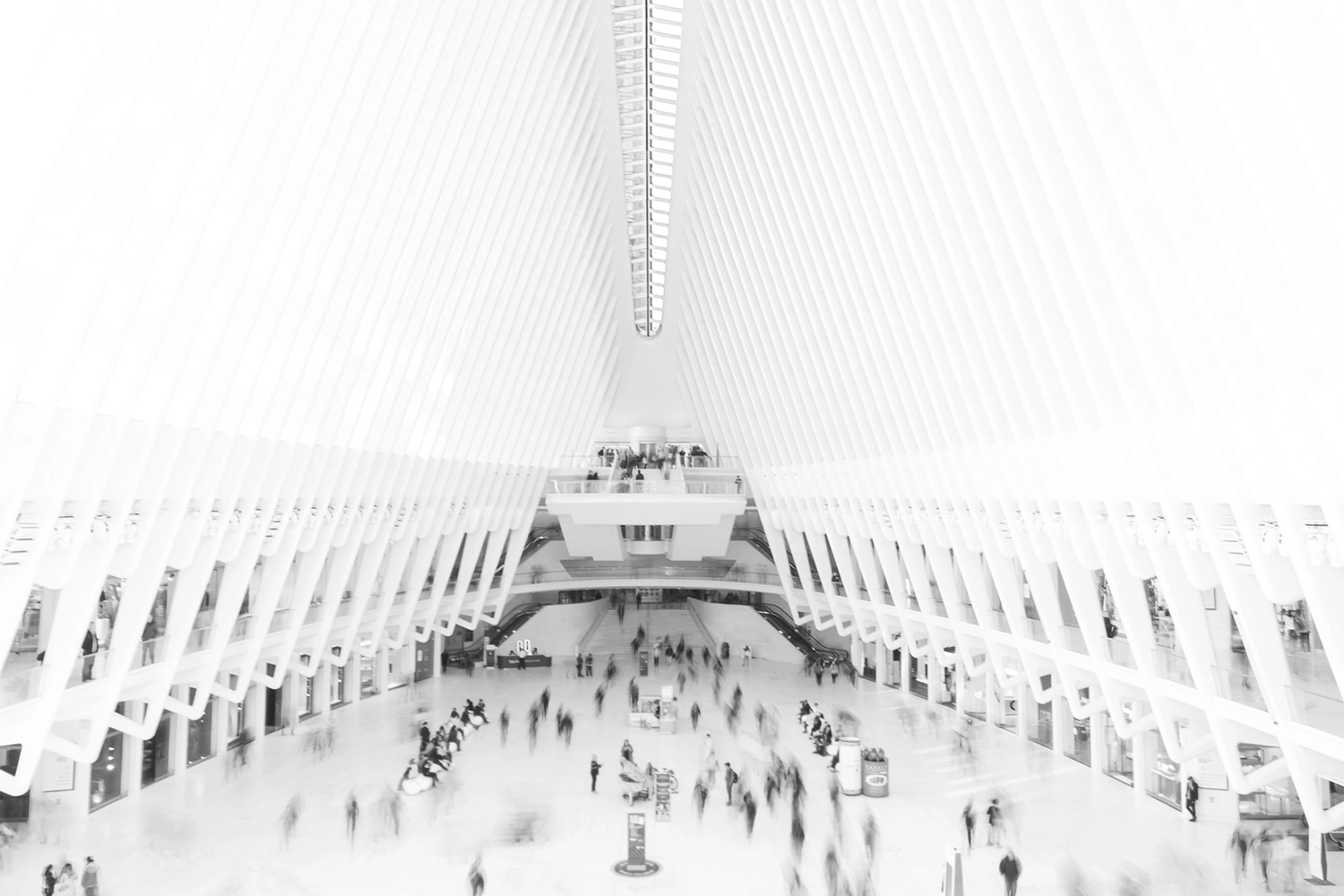 Oculus, Nueva York